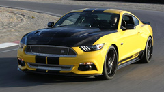 Shelby GT Shelby GT