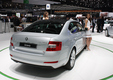 новая Skoda Octavia