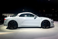 Alpine Vision Concept