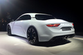 Alpine Vision Concept