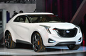 Hyundai Curb Concept