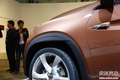 Chery TX и Ant