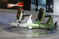 Chery Ant