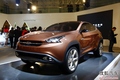 Chery TX и Ant