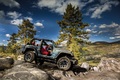 Jeep Wrangler Rubicon 10th Anniversary