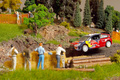 Citroen DS3 FIA World Rally Championship
