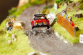 Citroen DS3 FIA World Rally Championship
