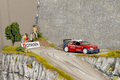 Citroen DS3 FIA World Rally Championship
