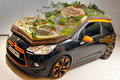 Citroen DS3 FIA World Rally Championship