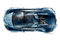 Bugatti Veyron GSV Wimille