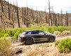 Porsche Macan в камуфляже