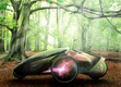Toyota Concepts for Tokyo