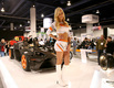 Девушки SEMA-2013