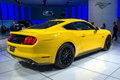 Ford Mustang 2014