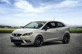 Seat Ibiza 30th Anniversary Edition