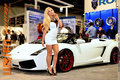 Девушки SEMA-2014