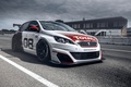 Peugeot 308 Racing Cup