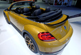 Volkswagen Beetle Dune