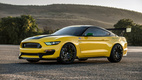 Ford Mustang Shelby GT350 Ole Yeller