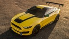 Ford Mustang Shelby GT350 Ole Yeller