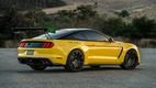 Ford Mustang Shelby GT350 Ole Yeller