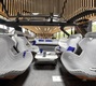 Renault Symbioz Concept