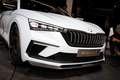 Официальная презентация концепта Skoda Vision RS