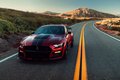 Официальная презентация Ford Mustang Shelby GT500 в Детройте