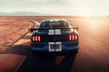 Официальная презентация Ford Mustang Shelby GT500 в Детройте