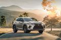 Обновленный внедорожник Lexus RX 2020 модельного года