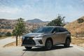 Обновленный внедорожник Lexus RX 2020 модельного года