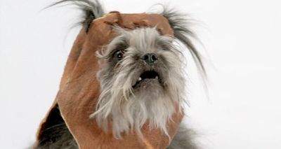 кадр из ролика