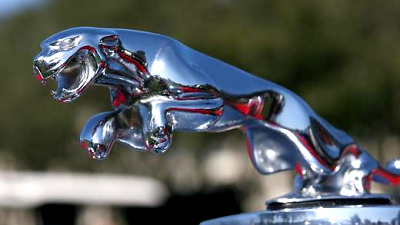 Jaguar 