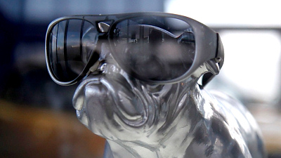 бульдог в очках