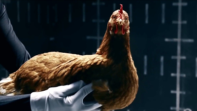 курица в рекламе Magic Body Control