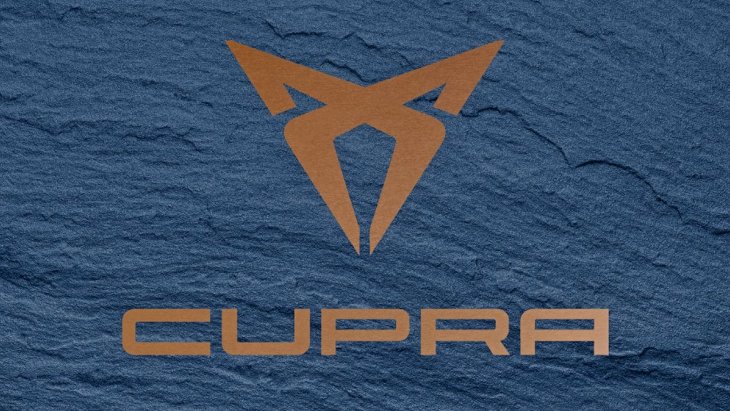Фирменный логотип суббренда Cupra Фирменный логотип суббренда Cupra