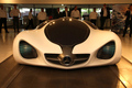 Mercedes Biome Concept