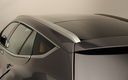 Fisker Surf