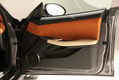 Fisker Surf