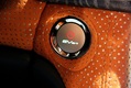 Fisker Surf