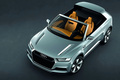 Audi Crosslane