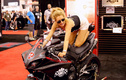 Девушки тюнинг-шоу SEMA-2012