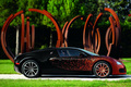 Bugatti Veyron Grand Sport Bernar Venet