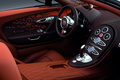 Bugatti Veyron Grand Sport Bernar Venet