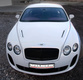 Bentley Continental Vilner