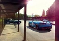 Jaguar Project 7