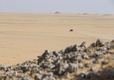 Range Rover Sport's desert record