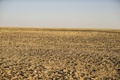 Range Rover Sport's desert record