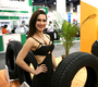 Девушки SEMA-2013