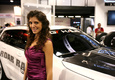 Девушки SEMA-2013